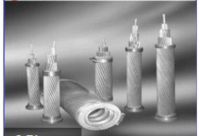 ACSS / TW Aluminium Alloy Conductors Excellent Self Damping Properties ISO9001 Certificated